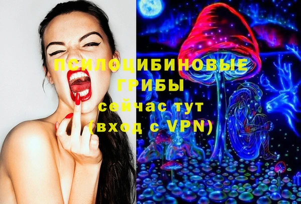 дмт Алзамай