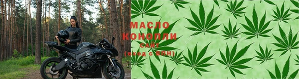 дмт Алзамай