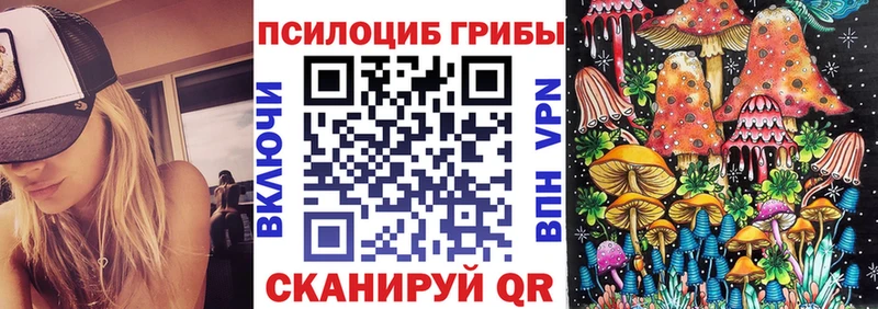 Галлюциногенные грибы мухоморы  где купить наркоту  Заволжск 